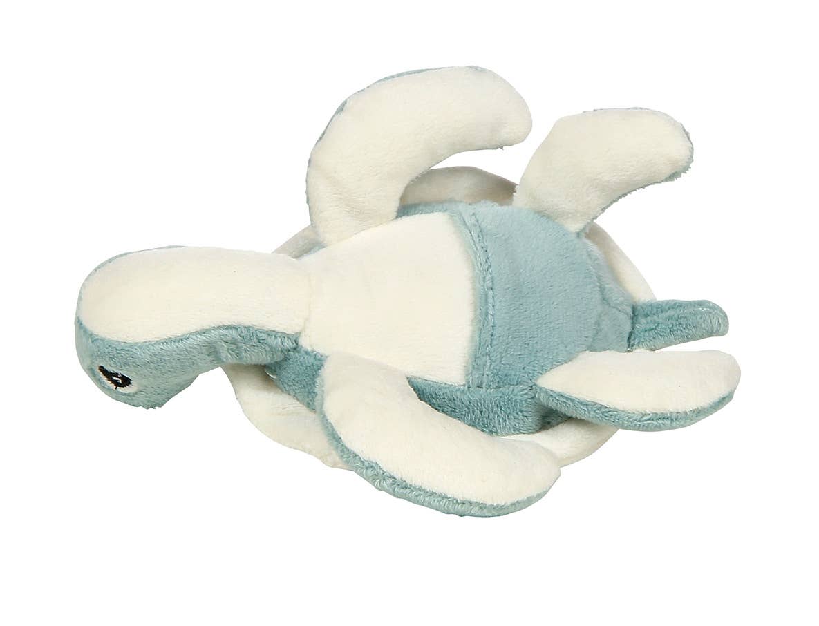 Turtle Scooter - Tooth Fairy