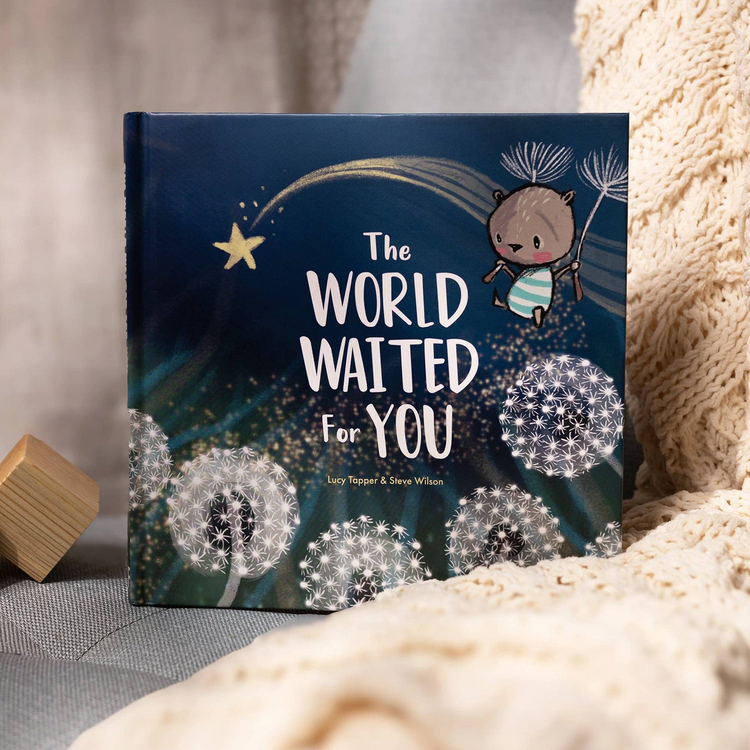 The World Waited For You | new baby gift book | baby shower